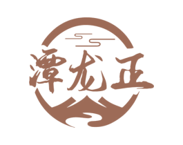 潭龙正 第33类酒商标图样