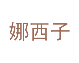 娜西子 第9类科学仪器商标图样