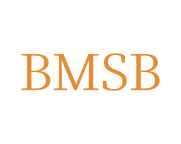 BMSB 第14类珠宝钟表商标图样