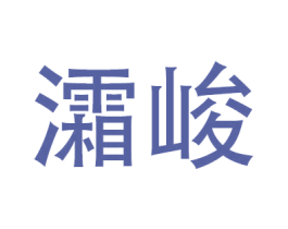 灀峻 第9类科学仪器商标图样
