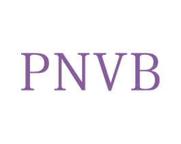 PNVB 第25类服装鞋帽商标图样