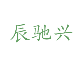 辰驰兴 第9类科学仪器商标图样