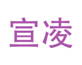 宣凌 第28类体育玩具商标图样