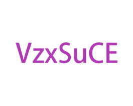 VZXSUCE 第18类皮革箱包商标图样