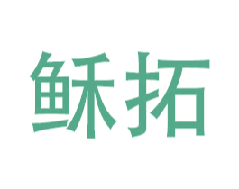 稣拓 第12类运输工具商标图样