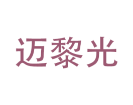 迈黎光 第12类运输工具商标图样