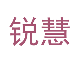 锐慧 第27类地毯席垫商标图样