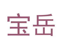 宝岳 第10类医疗器械商标图样