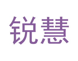 锐慧 第12类运输工具商标图样