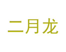 二月龙 第20类家具商标图样