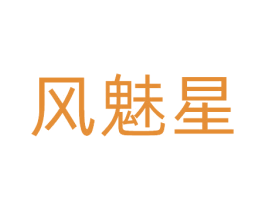 风魅星 第9类科学仪器商标图样