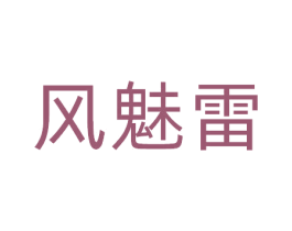 风魅雷 第9类科学仪器商标图样