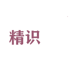 精识 第5类医药商标图样