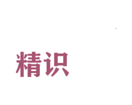 精识 第25类服装鞋帽商标图样