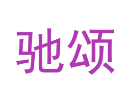 驰颂 第27类地毯席垫商标图样