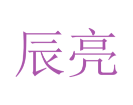 辰亮 第10类医疗器械商标图样