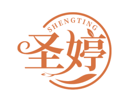 圣婷 第10类医疗器械商标图样