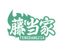 藤当家 第30类小食配料商标图样