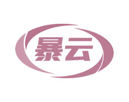 暴云 第10类医疗器械商标图样