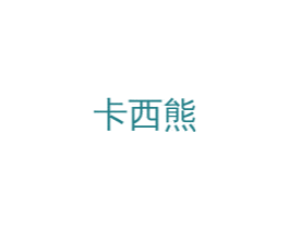 卡西熊 第12类运输工具商标图样