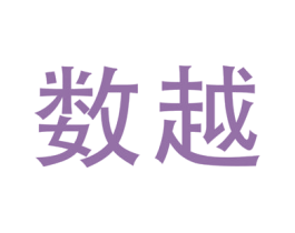 数越 第42类技术服务商标图样