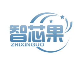 智芯果 第9类科学仪器商标图样
