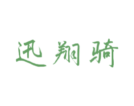 迅翔骑 第12类运输工具商标图样