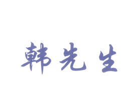 韩先生 第27类地毯席垫商标图样