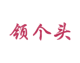 领个头 第25类服装鞋帽商标图样