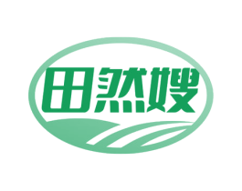 田然嫂 第30类小食配料商标图样