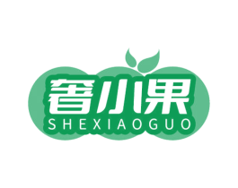 奢小果 第9类科学仪器商标图样