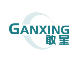 敢星 第9类科学仪器商标图样