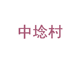 中埝村 第9类科学仪器商标图样