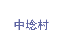 中埝村 第28类体育玩具商标图样