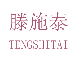 滕施泰 第25类服装鞋帽商标图样