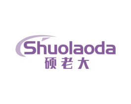 硕老大 第9类科学仪器商标图样