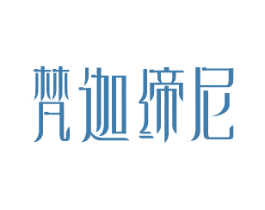 梵迦缔尼 第9类科学仪器商标图样