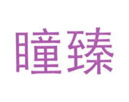 瞳臻 第10类医疗器械商标图样