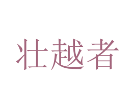 壮越者 第9类科学仪器商标图样