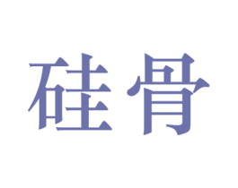 硅骨 第9类科学仪器商标图样