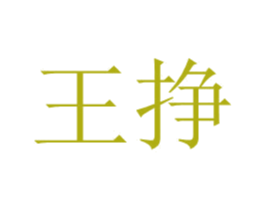 王挣 第36类金融物管商标图样