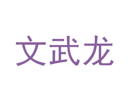 文武龙 第12类运输工具商标图样