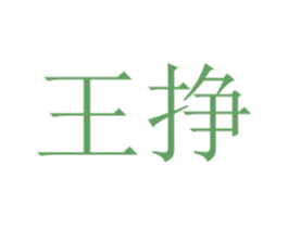 王挣 第41类教育娱乐商标图样