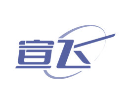 宣飞 第3类化妆品商标图样