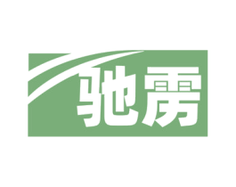 驰雳 第9类科学仪器商标图样