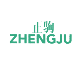正驹 第25类服装鞋帽商标图样